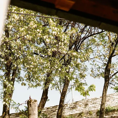 Daors House بيت ضيافة